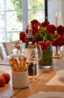 Foto tn_schessl_speikeroog_01_0131